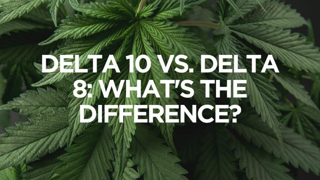 Delta Vs Delta Whats The Difference