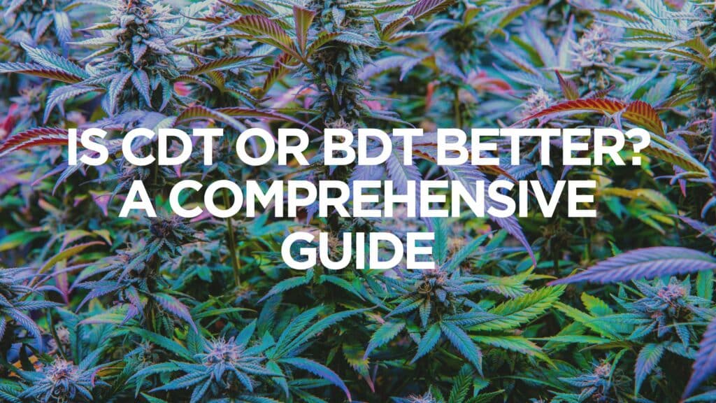 Is Cdt Or Bdt Better A Comprehensive Guide
