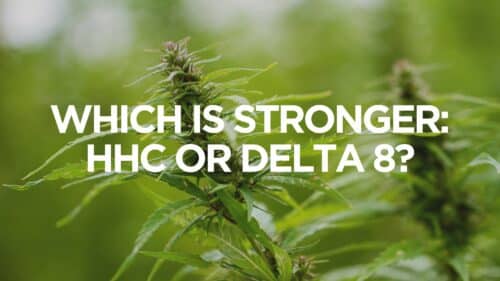 Which Is Stronger Hhc Or Delta 8