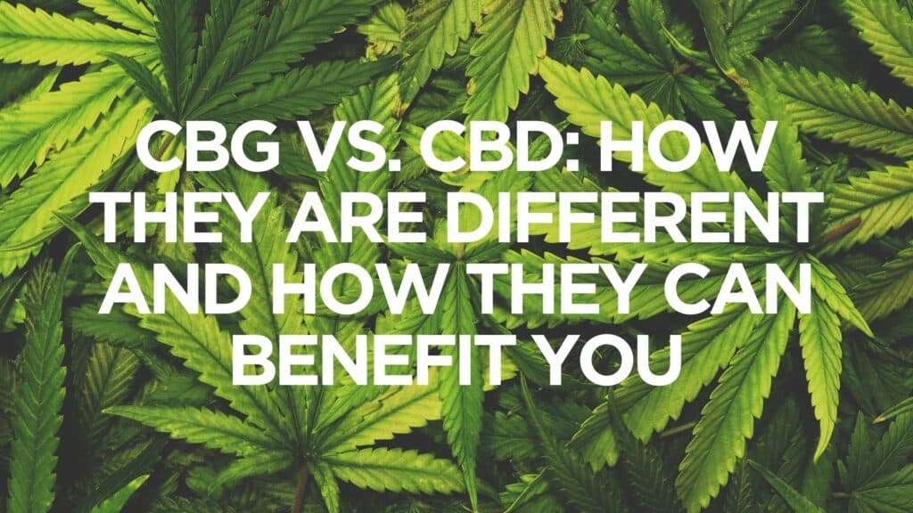 Cbg Vs Cbd How They Are Different And How They Can Benefit You