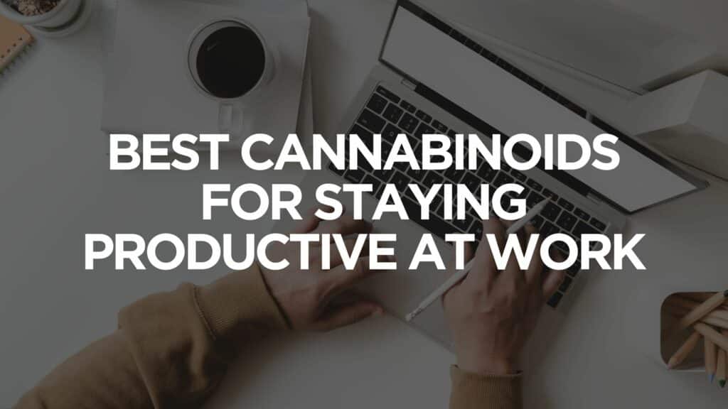 Best Cannabinoids For Staying Productive At Work
