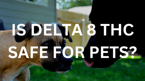 Is Delta 8 Thc Safe For Pets