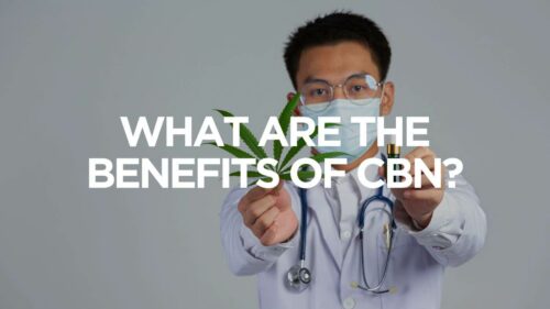 What Are The Benefits Of Cbn